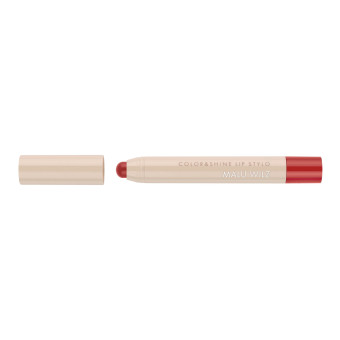 NEW Color and Shine Lip Stylo 2025 / 11g